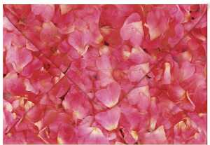 Ursus TRANSP.COUVERTS B6,5ST.FLORA ROSENBLÄTTER