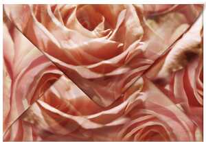 Ursus TRANSP.COUVERTS B6,5ST.FLORA ROSEN