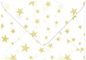 Ursus TRANSP.COUVERTS B6,5ST.ELEMENTE STERNE