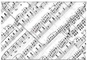 Ursus TRANSP.COUVERTS B6,5ST.NOTEN WEISS