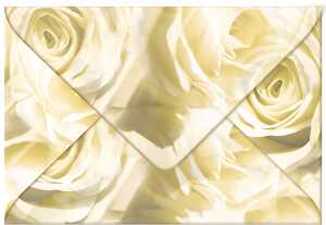 Ursus TRANSP.COUVERTS B6,5ST.ROSEN CHAMPAGNER