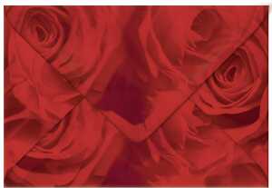 Ursus TRANSP.COUVERTS B6,5ST.ROSEN ROT