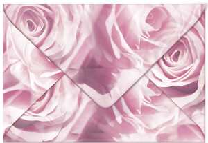 Ursus TRANSP.COUVERTS B6,5ST.ROSEN ROSÉ