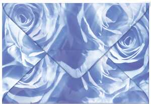 Ursus TRANSP.COUVERTS B6,5ST.ROSEN MITTELBLAU