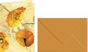 Ursus GRUSSK./COUV.DIN A6,5 PAAR FLORA ISLANDMOHN