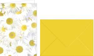 Ursus GRUSSK./COUV.DIN A6,5 PAAR FLORA MARGERITEN