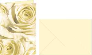 Ursus GRUSSK./COUV.DIN A6,5 PAAR ROSEN CHAMPAGNER