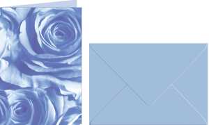 Ursus GRUSSK./COUV.DIN A6,5 PAAR ROSEN MITTELBLAU