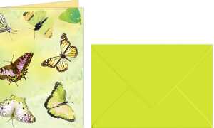 Ursus GRUSSK./COUV.DIN A6,5 PAAR SCHMETTERLI.GELB