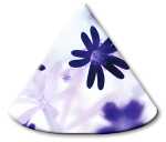 Ursus LAMPENSCHIRMCHEN 10ST.FLORA BLÜMCHEN