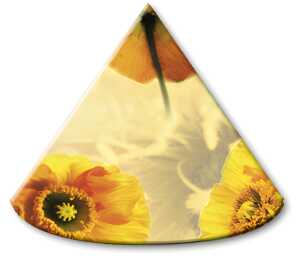 Ursus LAMPENSCHIRMCHEN 10ST.FLORA ISLANDMOHN