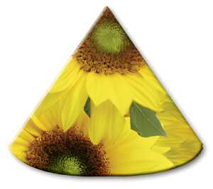 Ursus LAMPENSCHIRMCHEN 10ST.FLORA SONNENBLUMEN