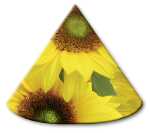 Ursus LAMPENSCHIRMCHEN 10ST.FLORA SONNENBLUMEN