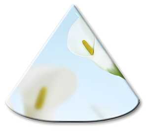 Ursus LAMPENSCHIRMCHEN 10ST.FLORA CALLA