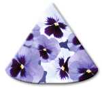 Ursus LAMPENSCHIRMCHEN 10ST.FLORA STIEFMÜTTERCHEN