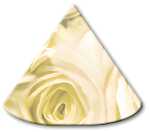 Ursus LAMPENSCHIRMCHEN 10ST.ROSEN CHAMPAGNER