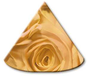 Ursus LAMPENSCHIRMCHEN 10ST.ROSEN APRICOT