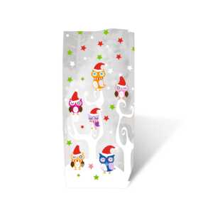 Ursus GESCHENK-BODENBEUTEL EULEN 11,5x19CM,10ST.