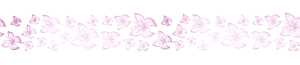 Ursus PAPIER-BORDÜREN BEDRUCKT 41,3MM 2M 4008525211617