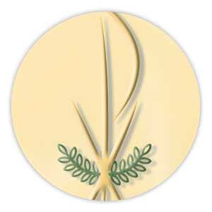 Ursus TONKTN.220G.DIN A4,5BL.CHR.SYMBOLE PAX