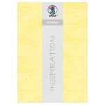 Ursus STROHSEIDE 25G.23x33CM,5BL.VANILLE