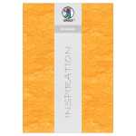 Ursus STROHSEIDE 25G.23x33CM,5BL.GOLDGELB