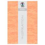 Ursus STROHSEIDE 25G.23x33CM,5BL.APRICOT