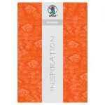 Ursus STROHSEIDE 25G.23x33CM,5BL.ORANGE