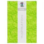 Ursus STROHSEIDE 25G.23x33CM,5BL.HELLGRÜN