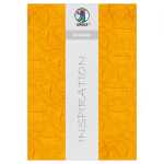 Ursus STROHSEIDE 25G.23x33CM,5BL.HELLBRAUN