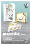 Ursus IMPRESSION 310G.23X33CM.10 BL.SORT.GO+SILBER