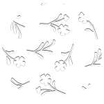 Ursus SILHOUETTENKARTON 300G.23x33CM,BLUMEN 4008525234296