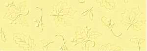 Ursus ELEGANCE 220G.23x32CM,5BL.NATUR HELLGELB