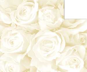 Ursus STARL."HOCHZEIT CREME/GO"240G.DIN A4,5BL.M03