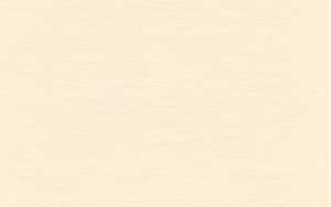 Ursus TONKTN.220G.DIN A4,100BL.CHAMOIS