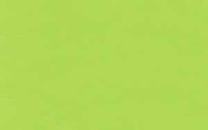 Ursus TONKTN.220G.DIN A4,100BL.TROPICGRÜN