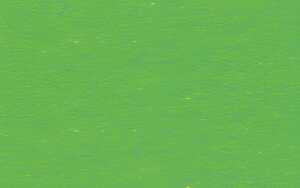 Ursus TONKTN.220G.DIN A4,100BL.GRASGRÜN