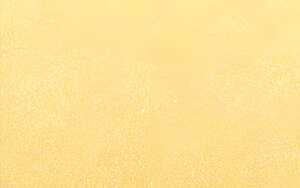 Ursus TONKTN.220G.DIN A4,100BL.GOLD MATT