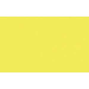 Ursus TONKARTON 220G.50x70CM,CITRONENGELB