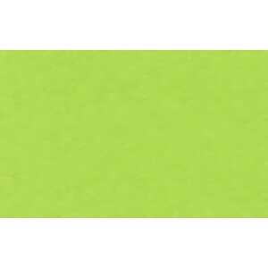 Ursus TONKARTON 220G.50x70CM,TROPICGRÜN