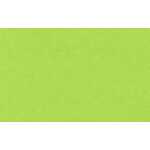 Ursus TONKARTON 220G.50x70CM,TROPICGRÜN