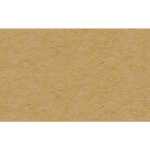 Ursus TONKARTON 220G.50x70CM,HELLBRAUN