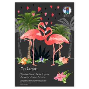 Ursus SONDEREDITIONS-TONKTN.220G.DIN A4,10BL.10F.SORT