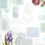 Ursus SCRAPB.PAPER MEMORIES 12"x12",5BL.MOTIV 31