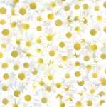 Ursus SCRAPB.PAPER TRANSP.12"x12",5BL.FLORA...