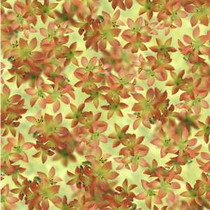 Ursus SCRAPB.PAPER TRANSP.12"x12",5BL.FLORA TIGERLI