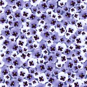 Ursus SCRAPB.PAPER TRANSP.12"x12",5BL.FLORA STIEFMÜ