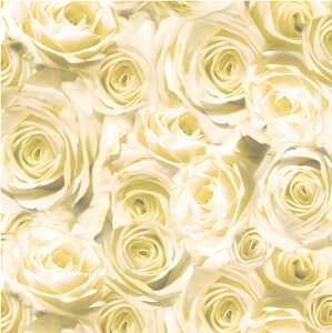 Ursus SCRAPB.PAPER TRANSP.12"x12",5BL.ROSEN CHAMPAG