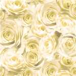 Ursus SCRAPB.PAPER TRANSP.12"x12",5BL.ROSEN...