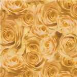 Ursus SCRAPB.PAPER TRANSP.12"x12",5BL.ROSEN...